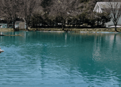 浜崎あゆみ・ダンサーの投稿にファン激怒「気分悪い」「あゆのイメージが…」