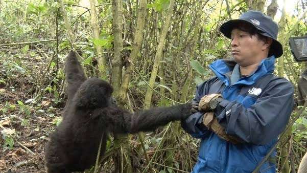 濱田岳が好きな人!