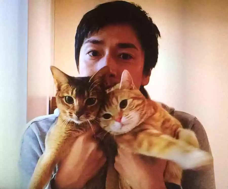 猫と芸能人の画像下さい ガールズちゃんねる Girls Channel