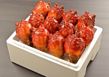 食べたことある人から感想を聞くトピ。