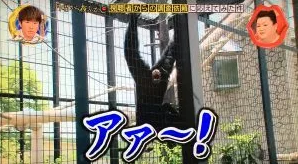 愛知県民集まれ〜