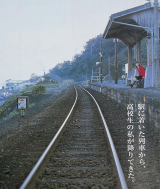 以前住んでいた所が恋しい😭