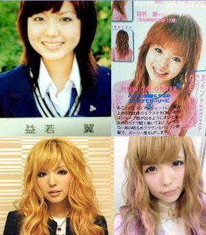 益若つばさ、