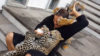 ［動物］許せる構ってちゃんの画像トピ