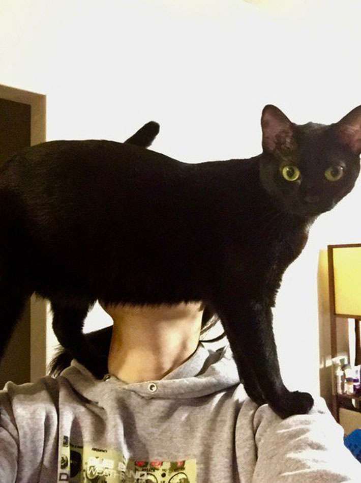 ［動物］許せる構ってちゃんの画像トピ