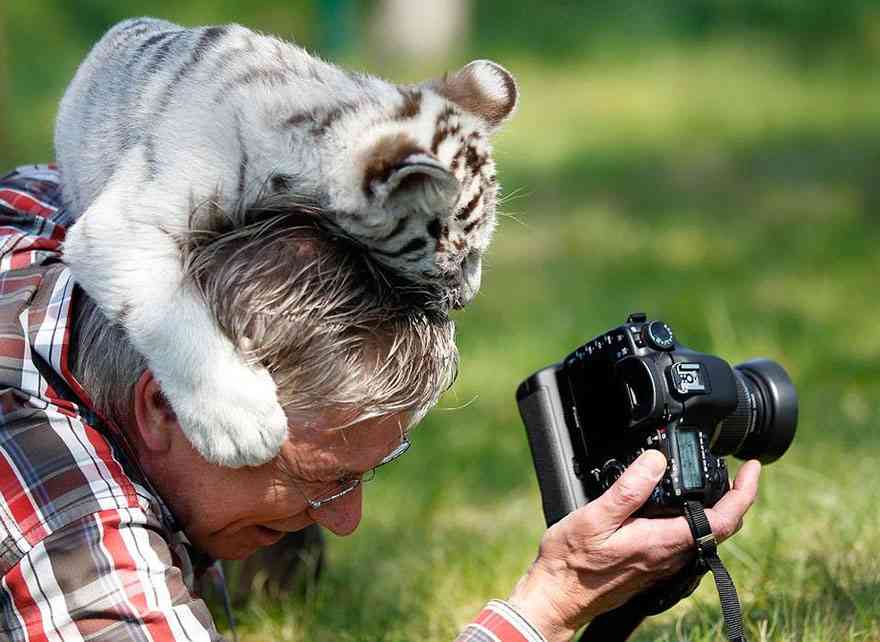 ［動物］許せる構ってちゃんの画像トピ