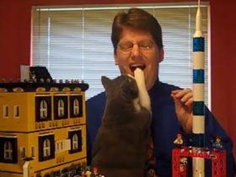 ［動物］許せる構ってちゃんの画像トピ