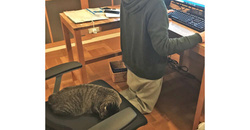 ［動物］許せる構ってちゃんの画像トピ