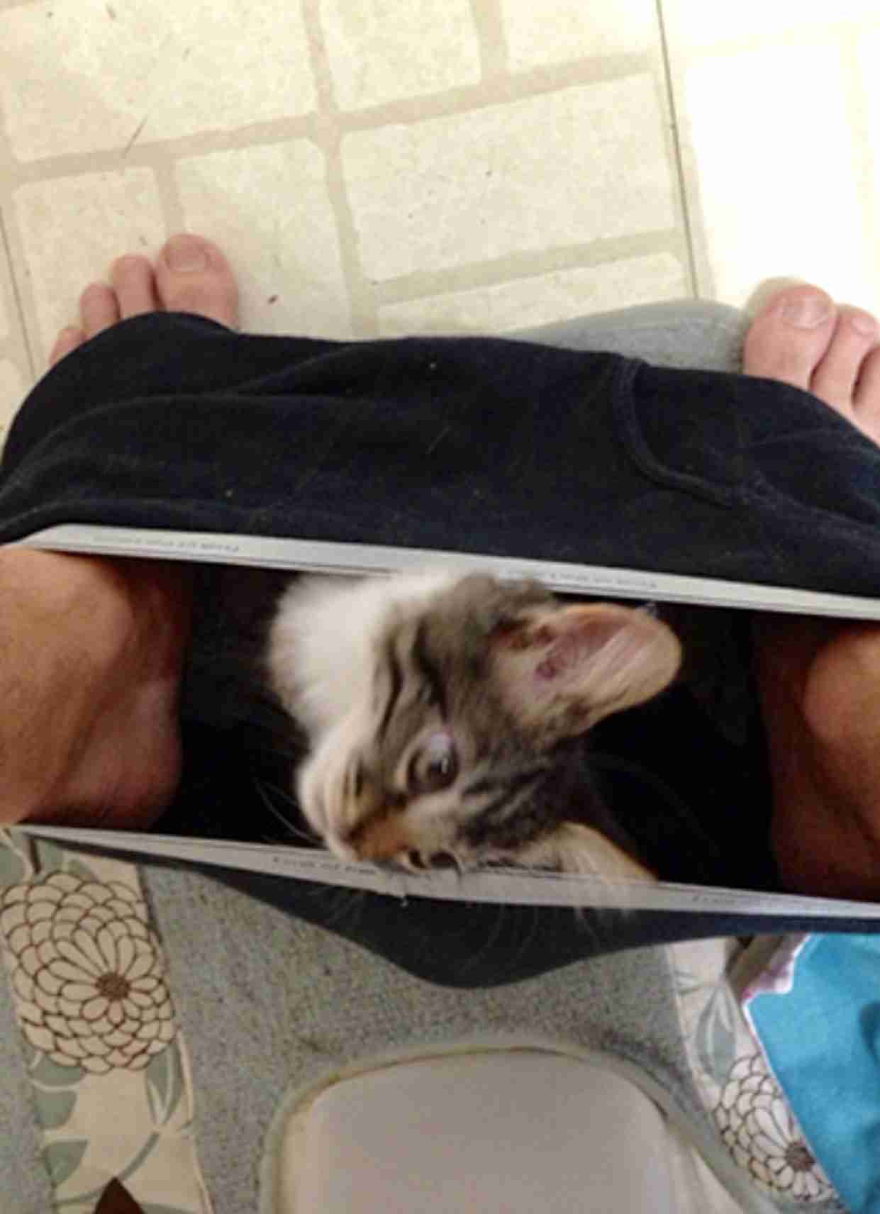［動物］許せる構ってちゃんの画像トピ