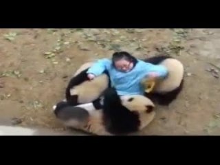 ［動物］許せる構ってちゃんの画像トピ