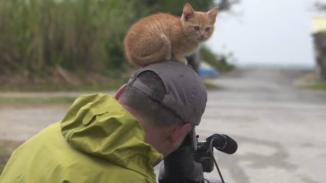 ［動物］許せる構ってちゃんの画像トピ