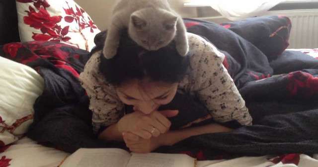 ［動物］許せる構ってちゃんの画像トピ