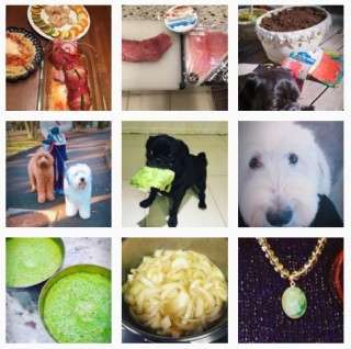 誰かに「わかる～」と言ってもらえそうなことを言ってみるトピ