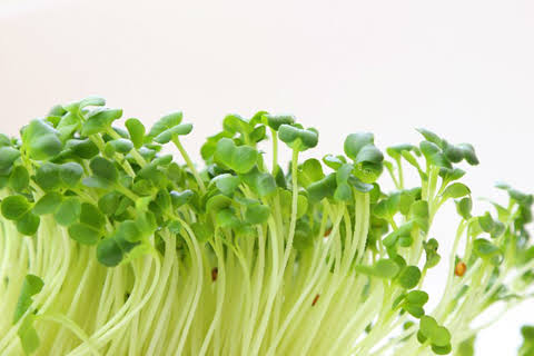 おしゃれな野菜を挙げると誰かが食べ方を教えてくれるトピ