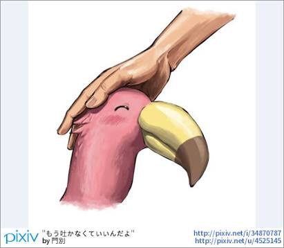 色んなオエー鳥の画像をお願いします
