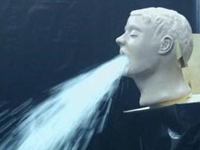 色んなオエー鳥の画像をお願いします