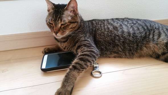 ガルちゃんしてるように見える画像集まれ！