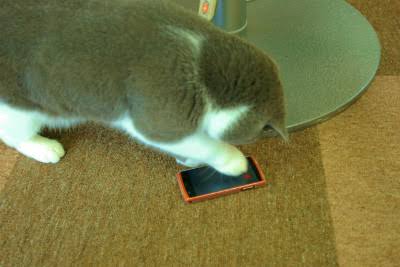 ガルちゃんしてるように見える画像集まれ！