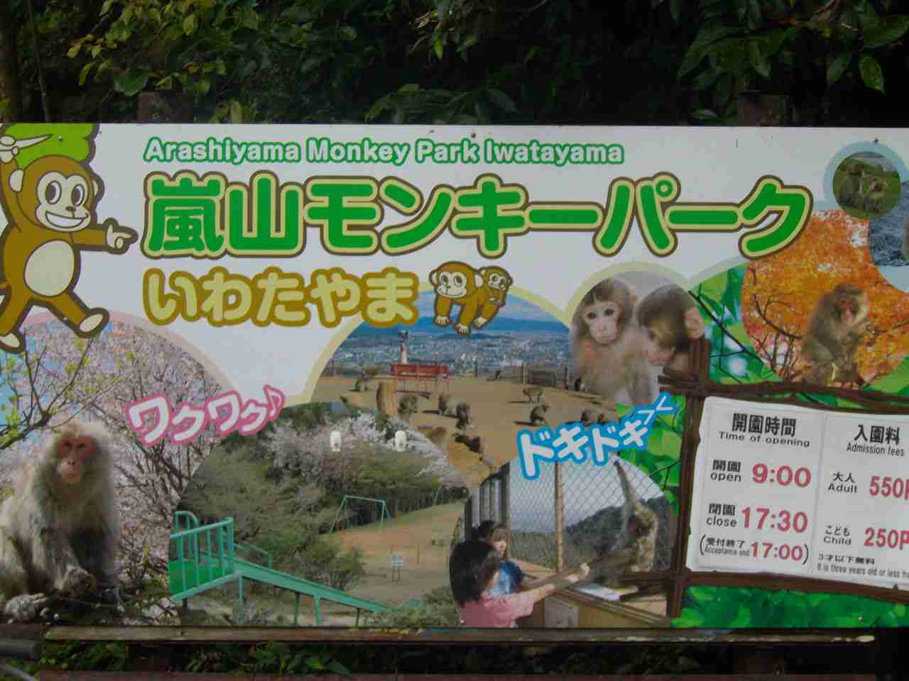 春の京都旅行のおすすめ
