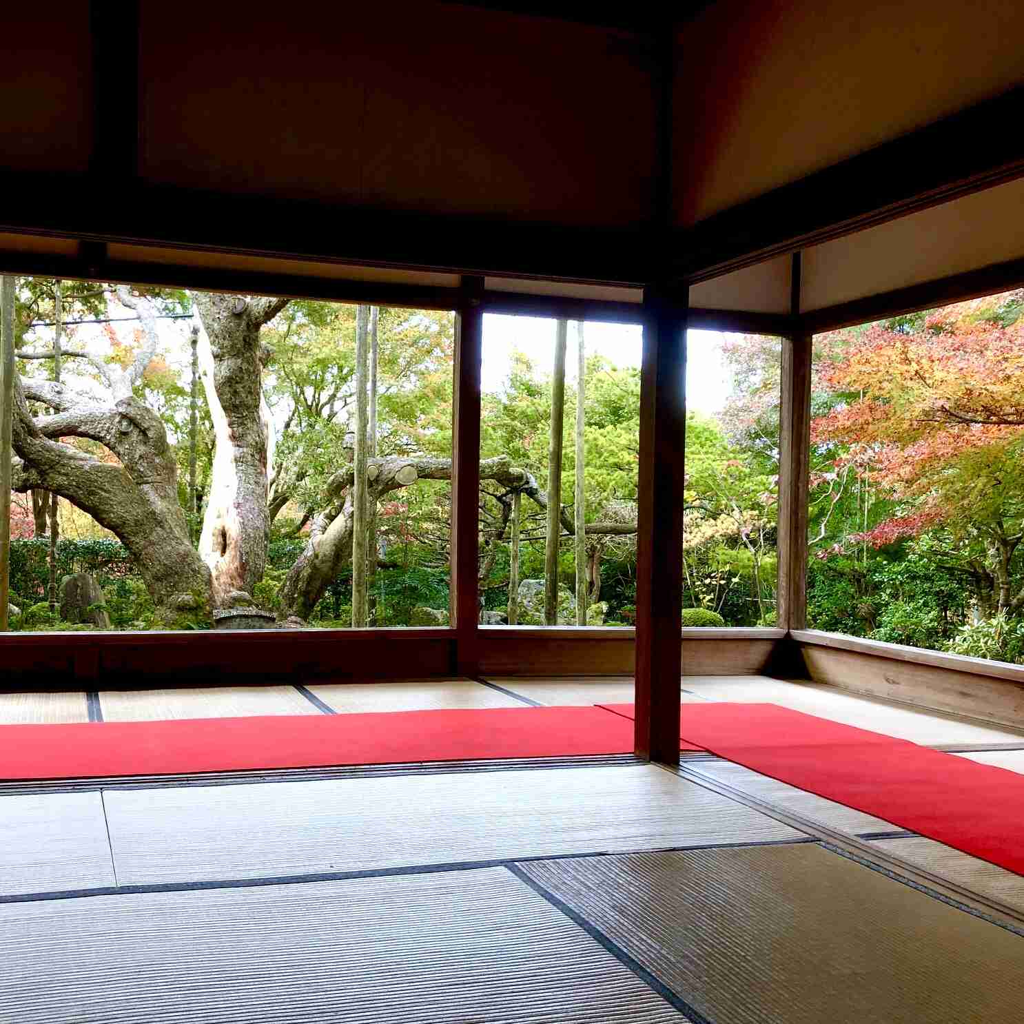 春の京都旅行のおすすめ