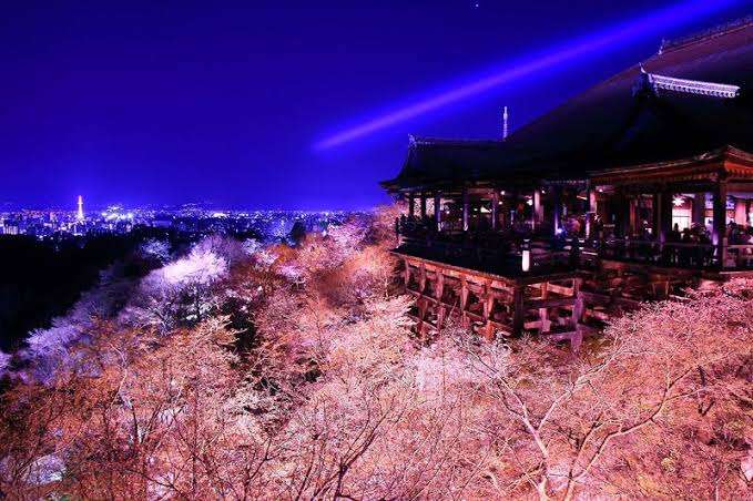 春の京都旅行のおすすめ