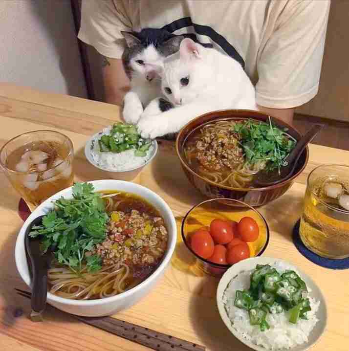 世界ガルミン滞在記にありそうなこと