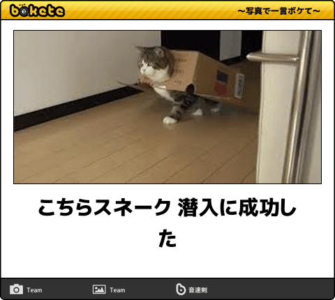 【動物部隊】ペット見守り隊part4