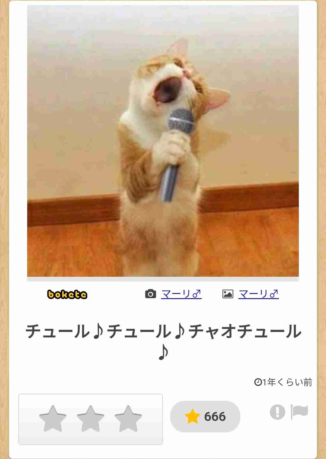 【動物部隊】ペット見守り隊part4