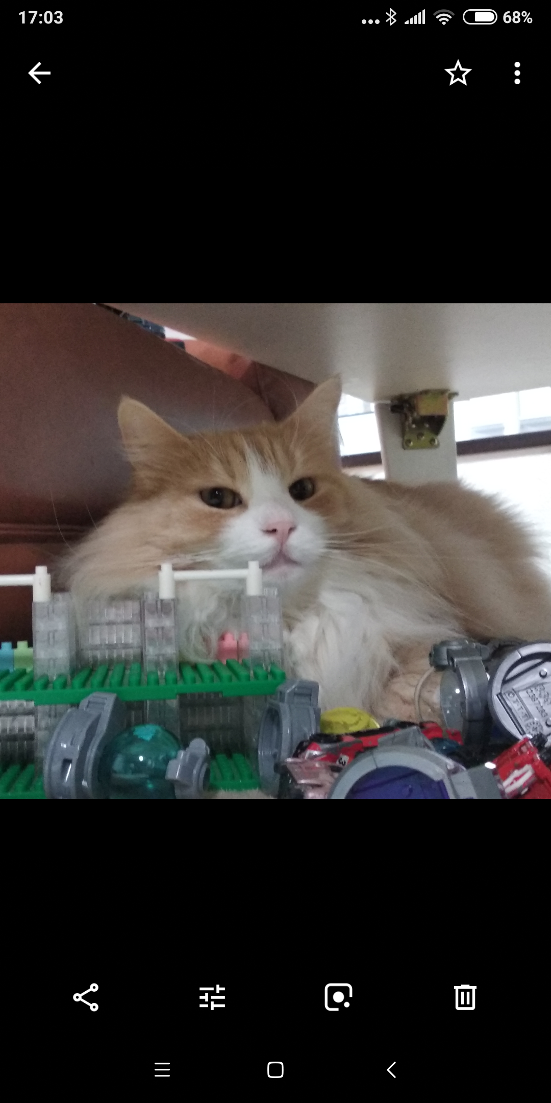 【動物部隊】ペット見守り隊part4