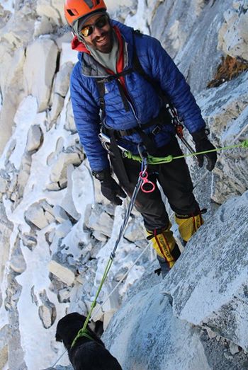 ヒマラヤ登山隊について来た野良犬、そのまま登頂に成功してしまう