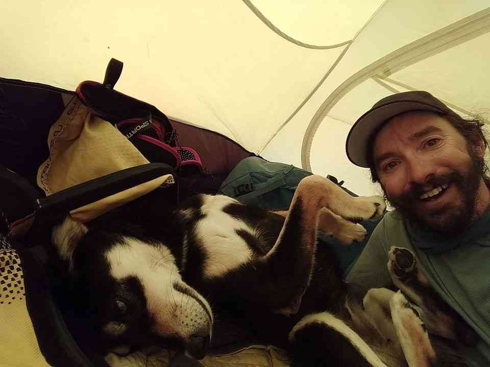 ヒマラヤ登山隊について来た野良犬、そのまま登頂に成功してしまう