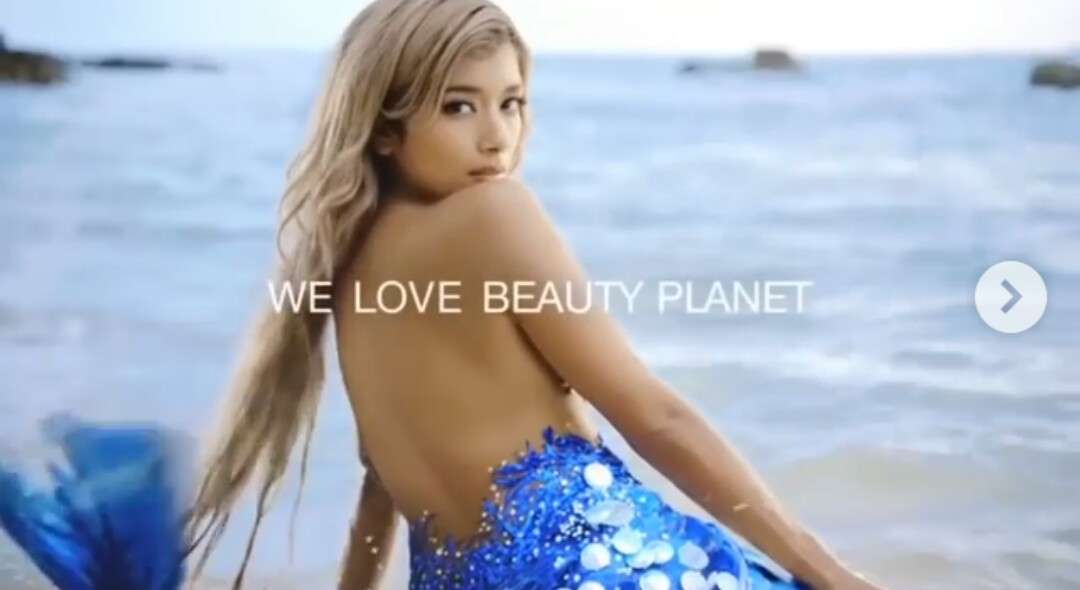ローラ　今度は「男女平等」訴える…辺野古埋め立て反対、環境問題、動物愛護