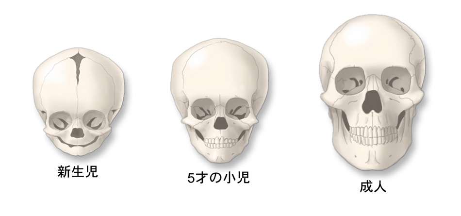 昔の顔と今の顔、違いますか?