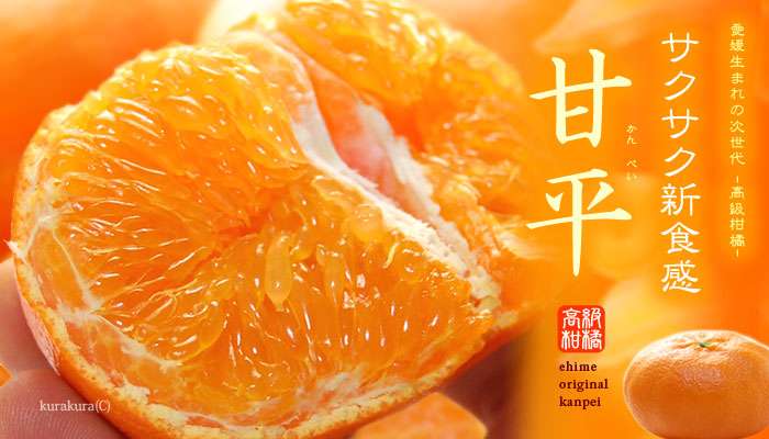愛媛県民の集い