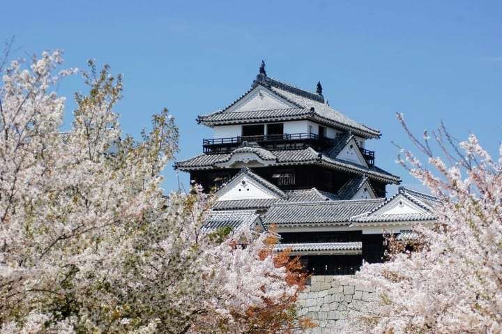 愛媛県民の集い