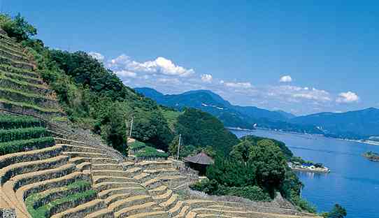 愛媛県民の集い