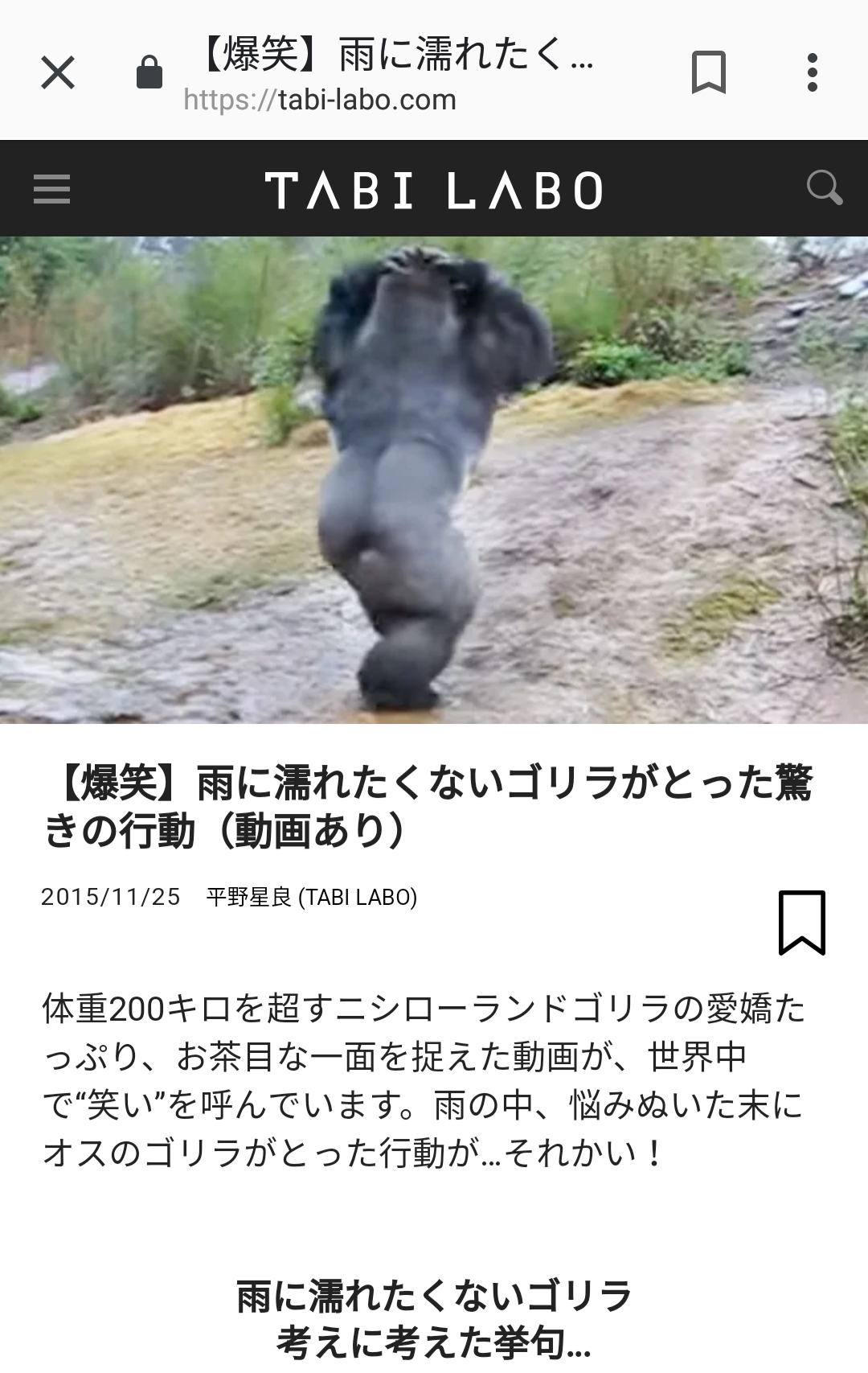 【画像】ぶりっ子してる動物たち