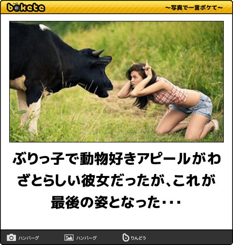 【画像】ぶりっ子してる動物たち