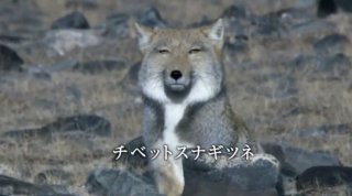 かっこいいとでも思ってるの？　ただ「ウザい」としか思わない男の自慢6つ
