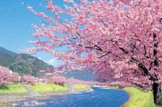 独身で貧乏なんのために生きているかわからない人