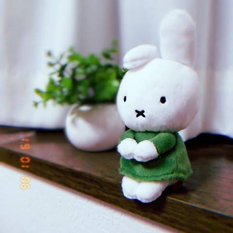 ぬい撮り見せてください