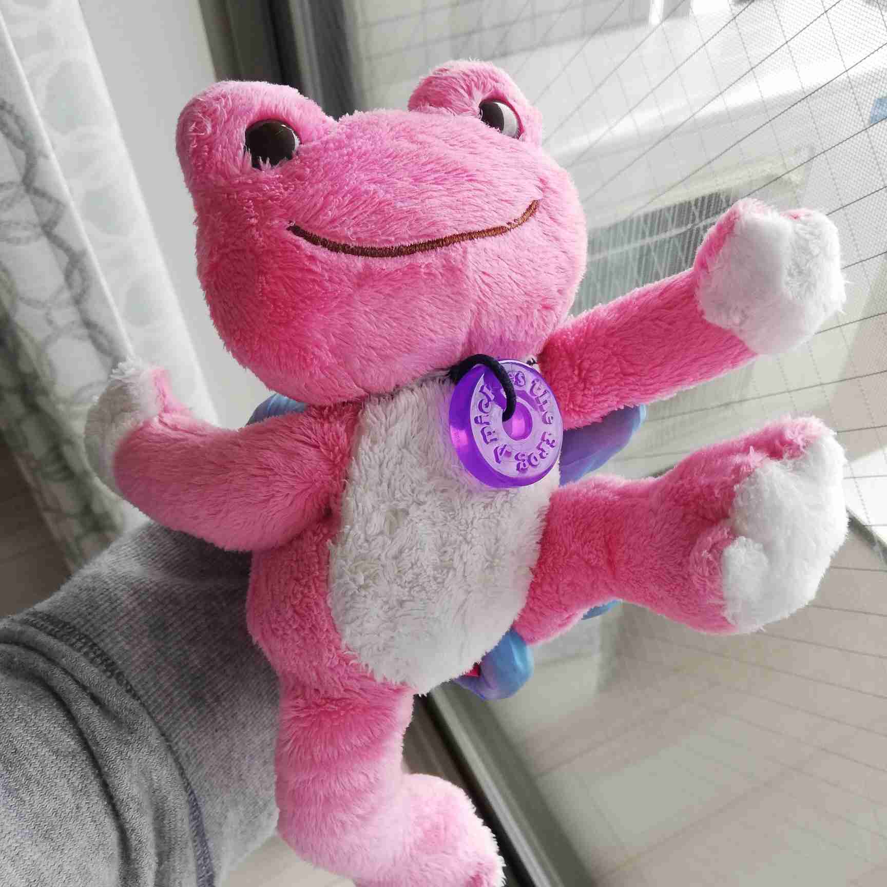 ぬい撮り見せてください