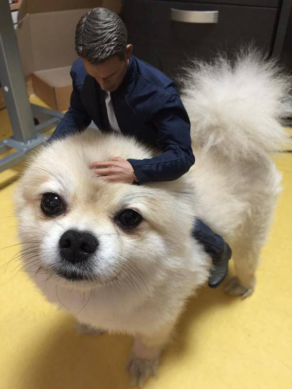 ぬい撮り見せてください
