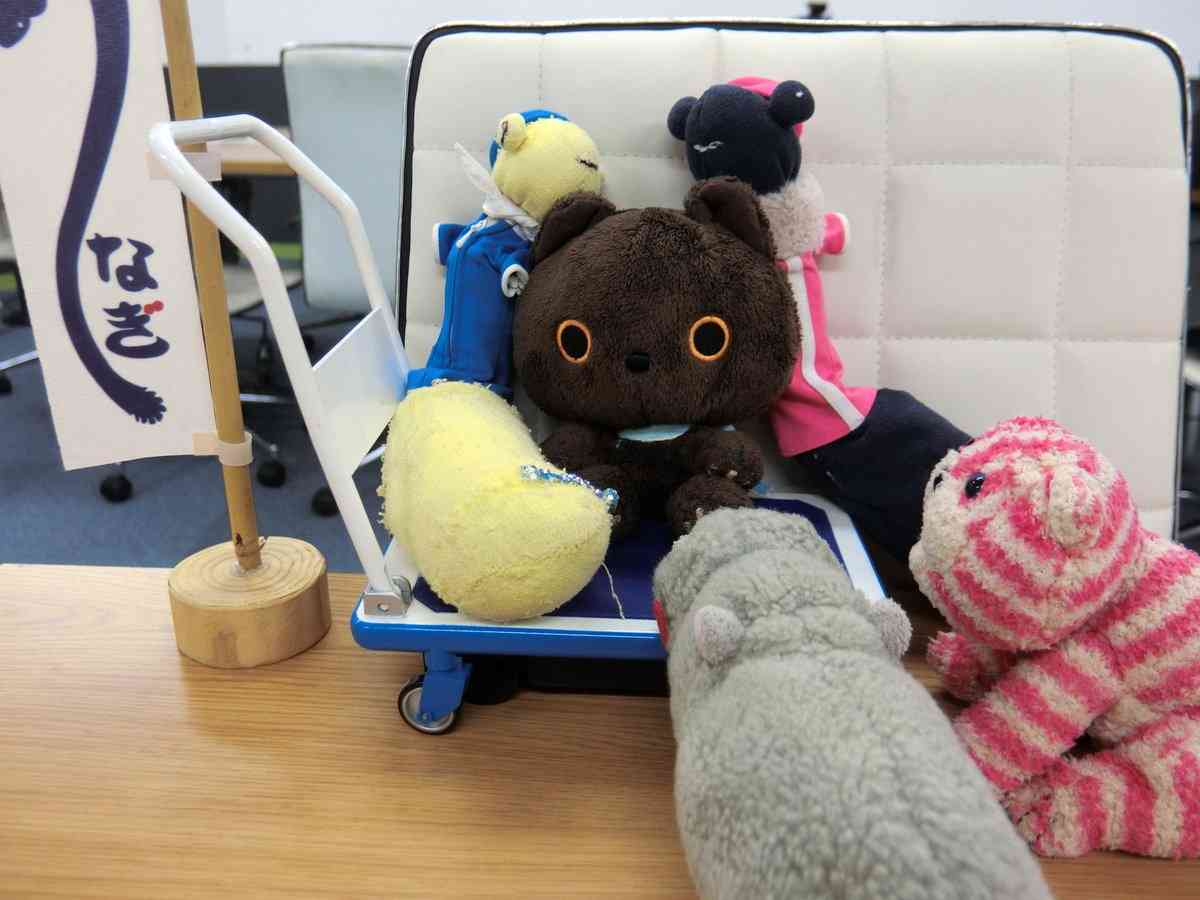 ぬい撮り見せてください