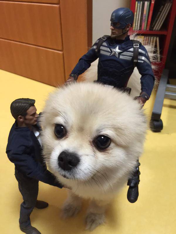 ぬい撮り見せてください