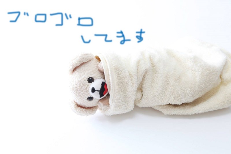 ぬい撮り見せてください