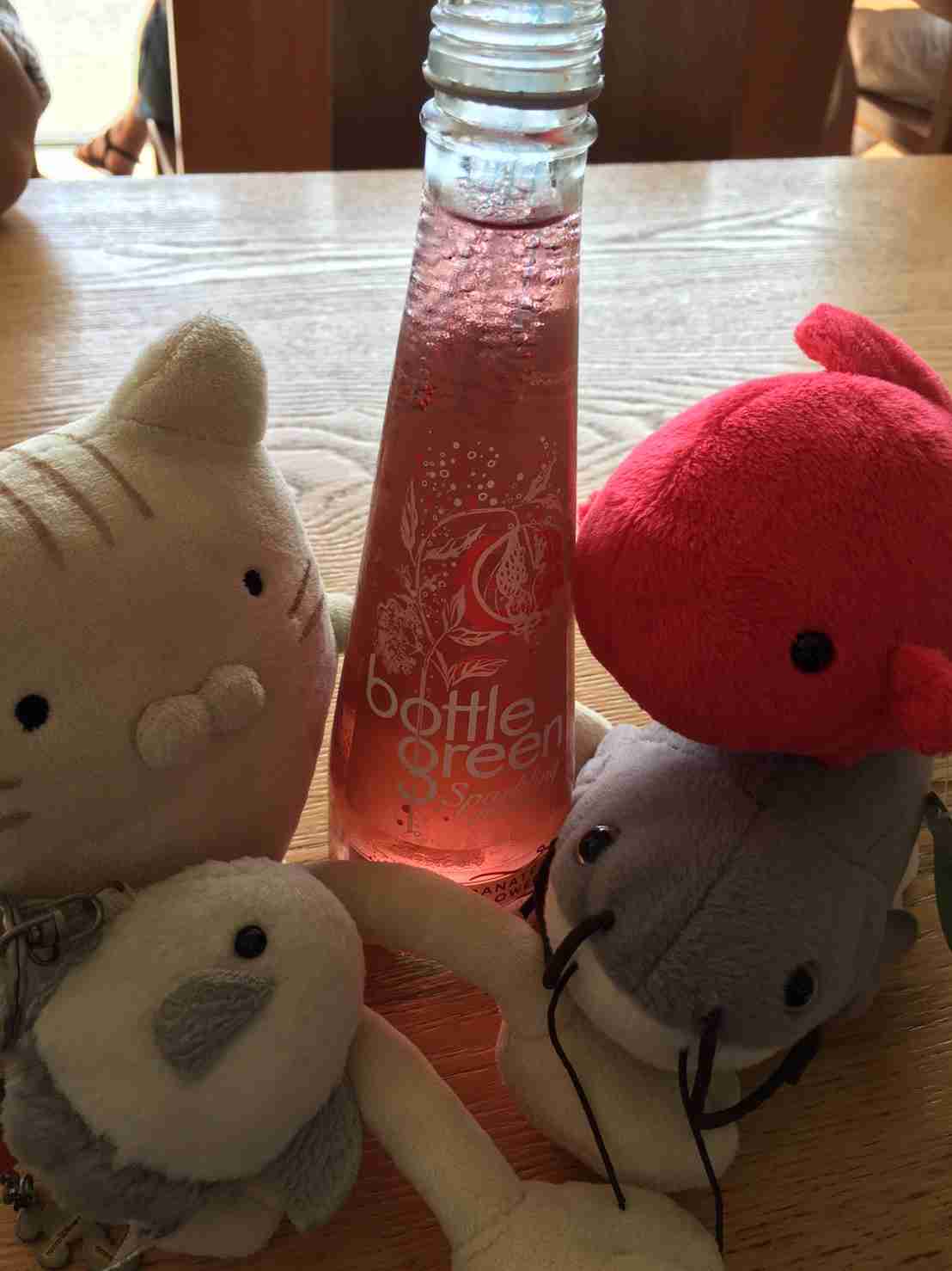 ぬい撮り見せてください