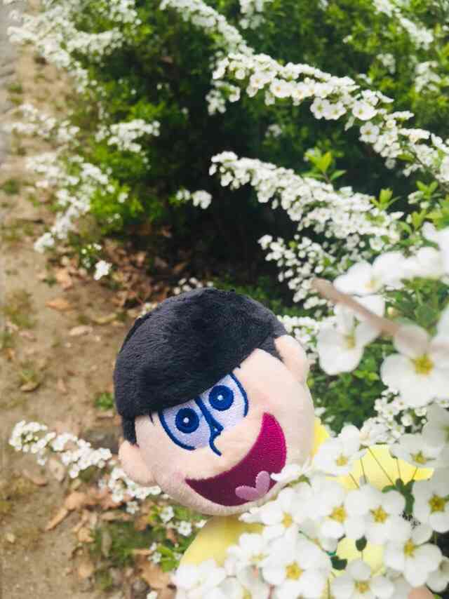 ぬい撮り見せてください