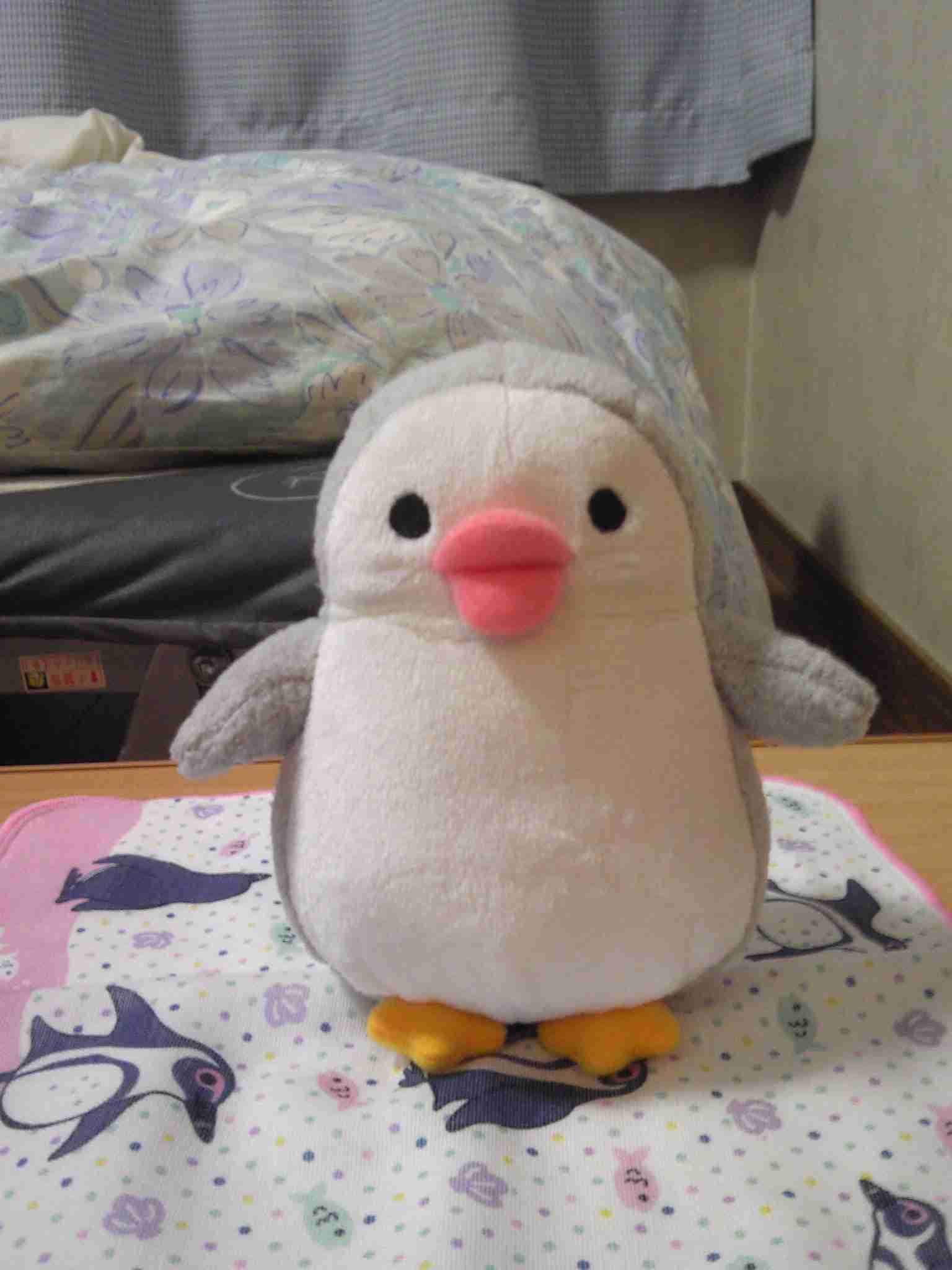 ぬい撮り見せてください