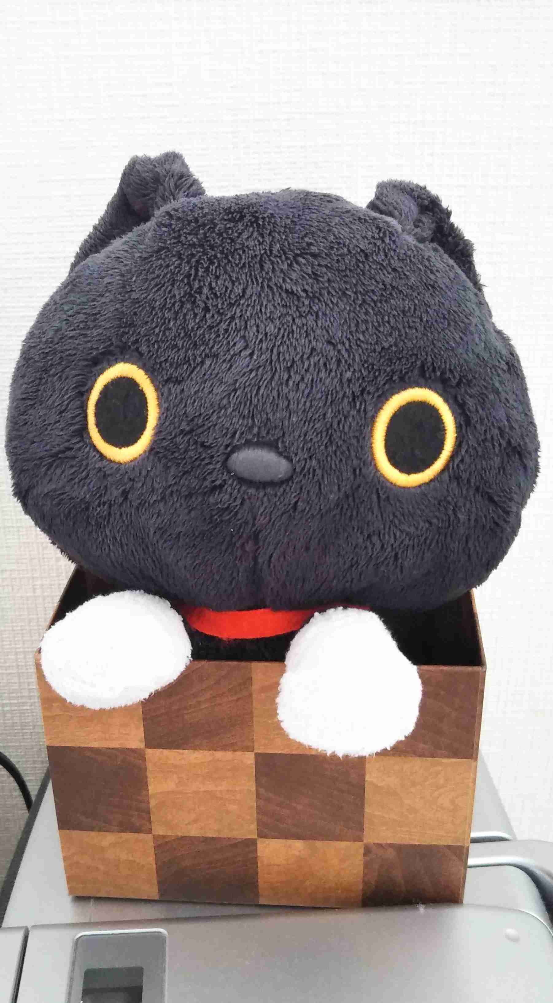 ぬい撮り見せてください
